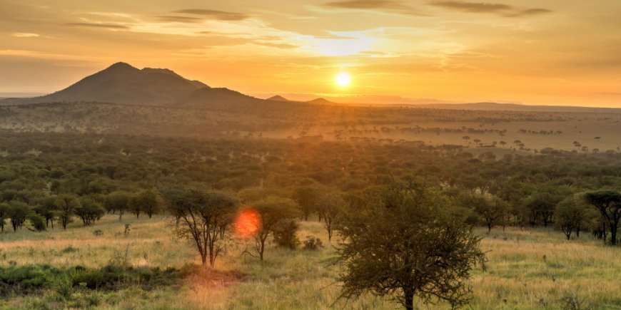 Sonne über Serengeti