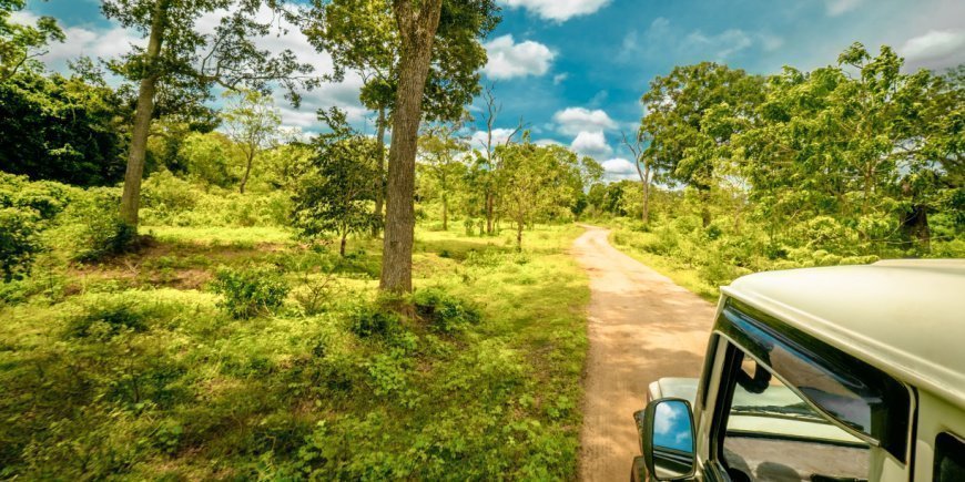 Jeepsafari in einem Nationalpark in Sri Lanka
