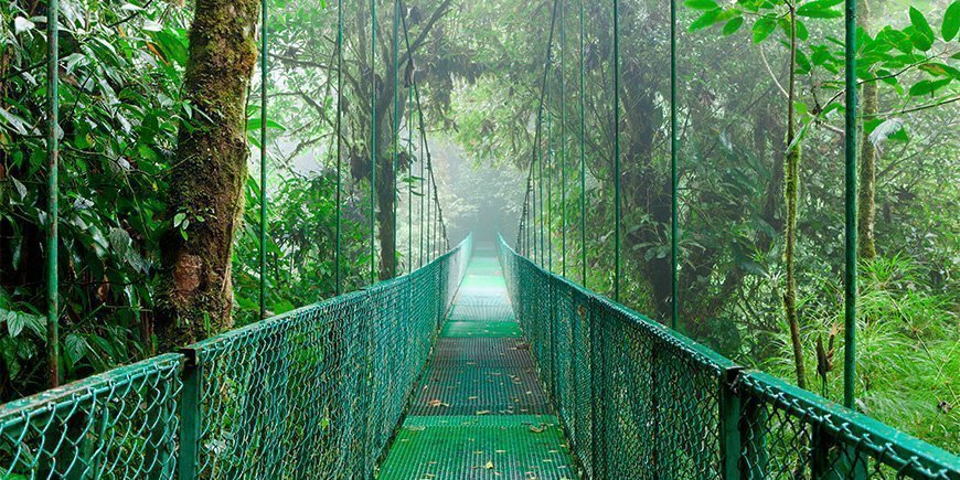 Nebel umgibt Hängebrücke in Monteverde, Costa Rica