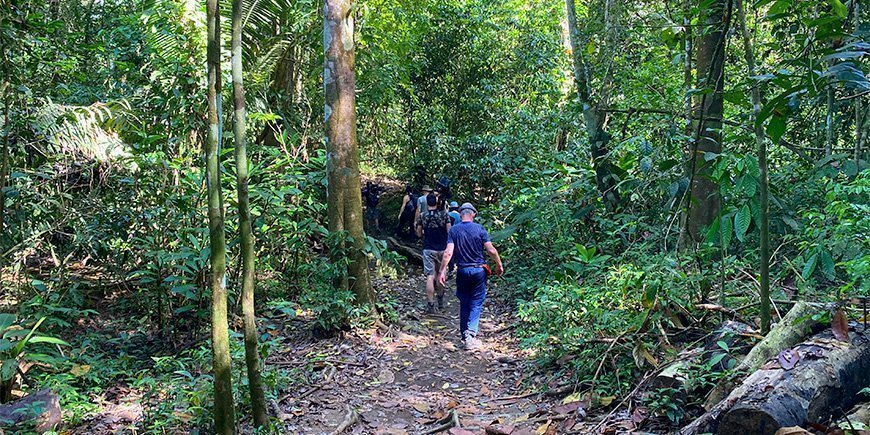 Eine Gruppe von Menschen beim Wandern im Corcovado-Nationalpark in Costa Rica