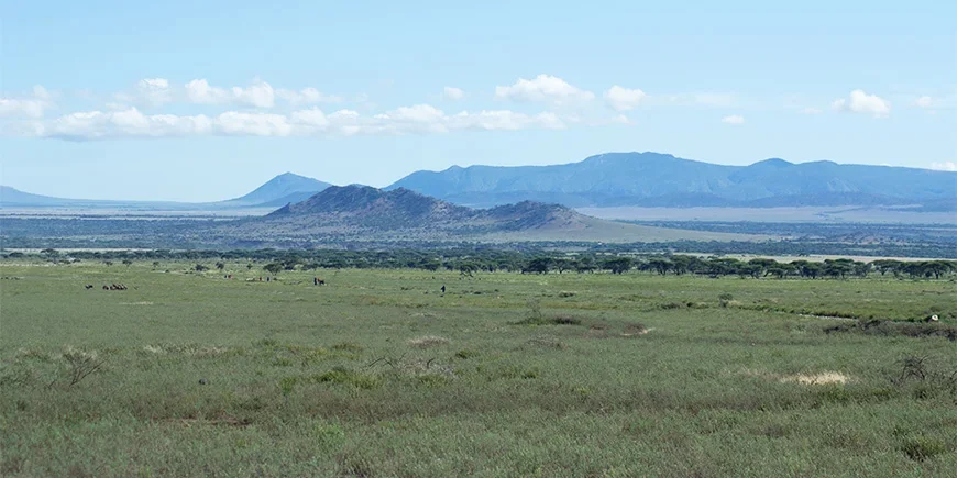 Die weiten Ebenen der Serengeti