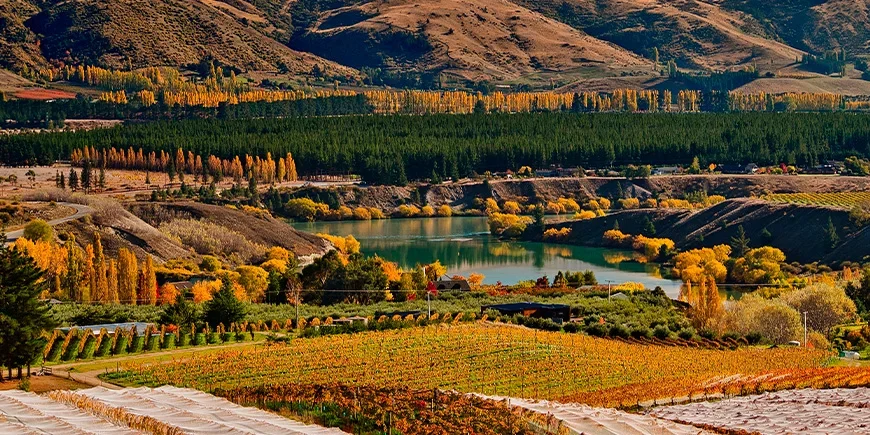 Central Otago in herbstlicher Farbenpracht