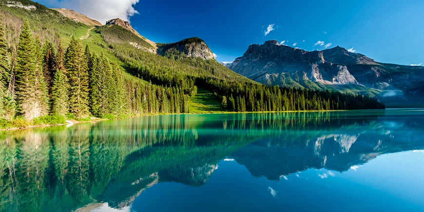 Der Wald spiegelt sich im Emerald Lake