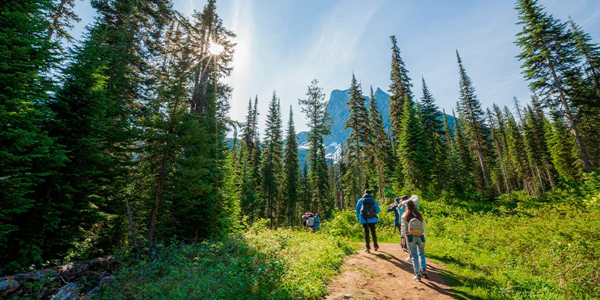 Eine Gruppe von Menschen wandert in einem Wald in Kanada
