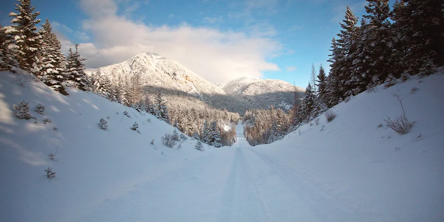 Winterlandschaften in den Rocky Mountains